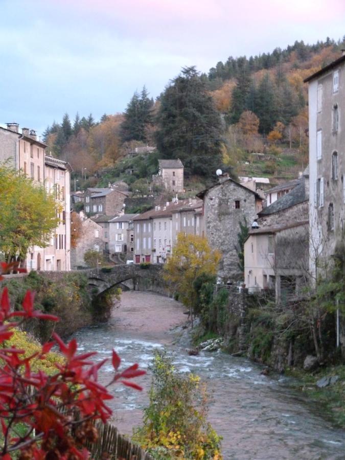 Cocon Des Cevennes - Pierre De Lune Saint-André-de-Valborgne Εξωτερικό φωτογραφία